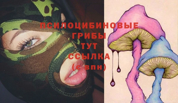 PSILOCYBIN Михайлов