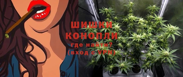 PSILOCYBIN Михайлов