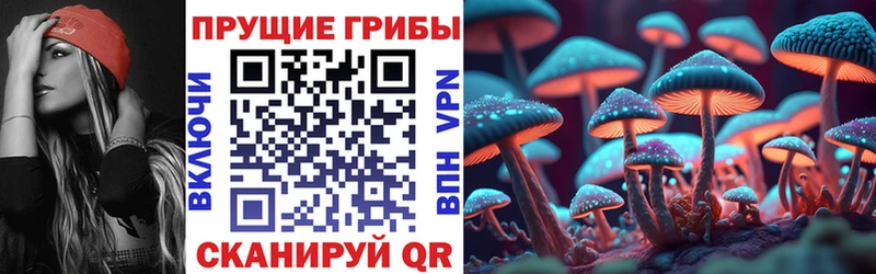 Псилоцибиновые грибы Psilocybe mega ссылка Хотьково
